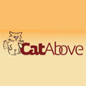 Cat Above Company Cat Above Company
